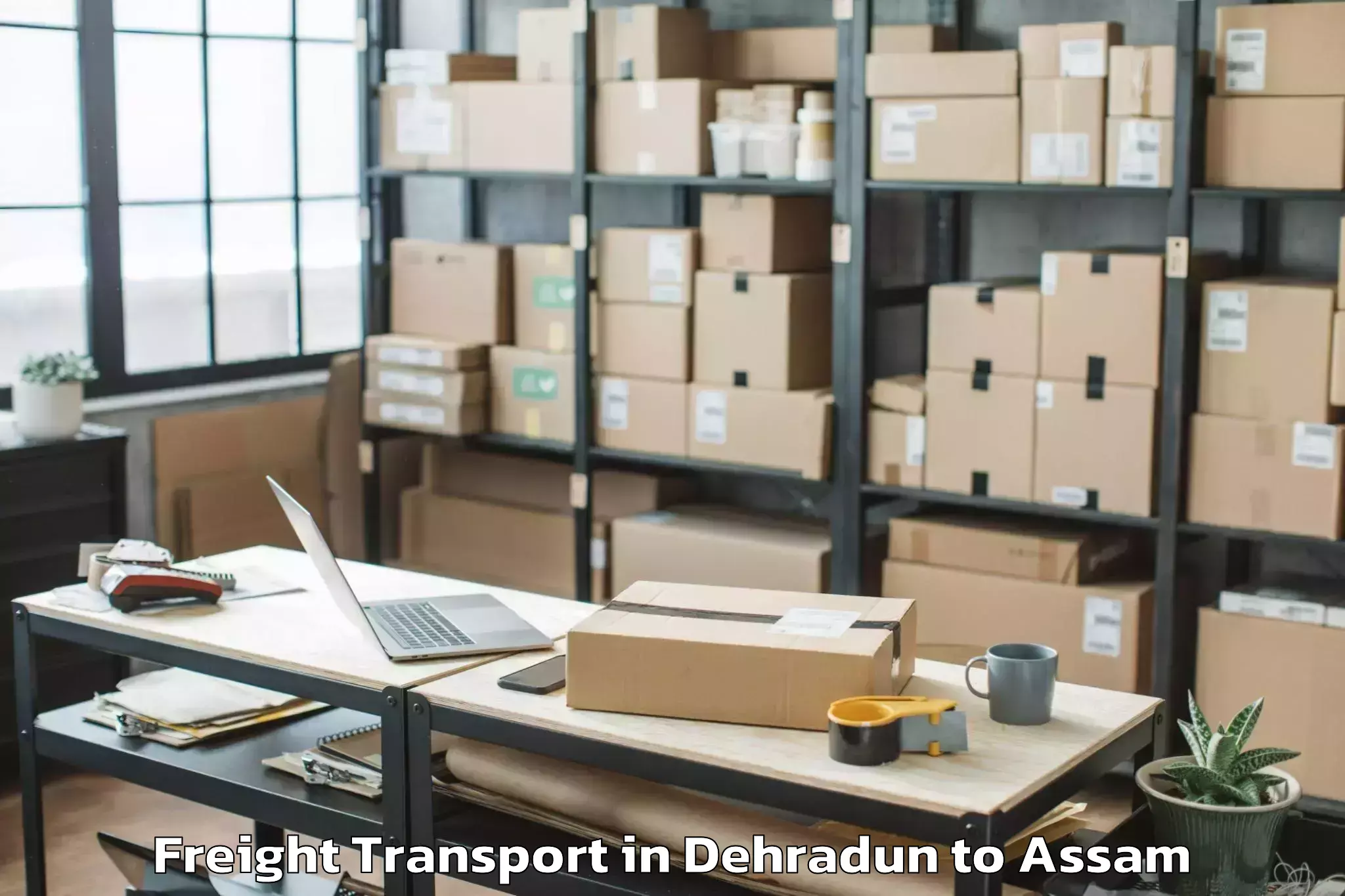 Professional Dehradun to Hojai Freight Transport